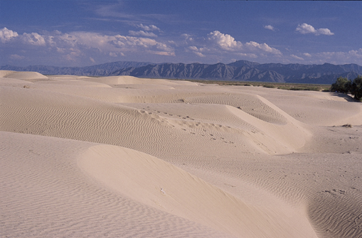 Dunas de Bilbao - Viesca Coahuila