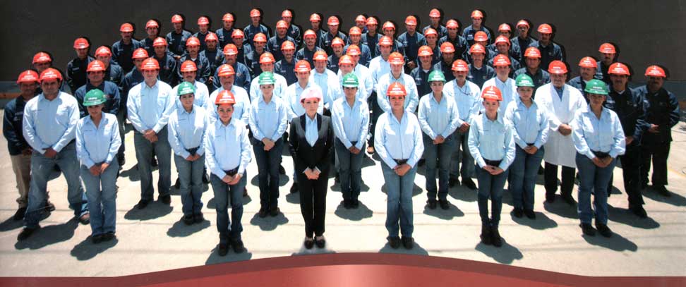 Colaboradores Grupo Integradora 